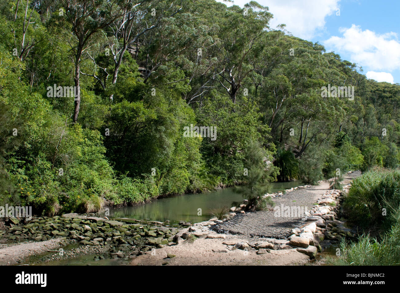 Flat Rock Creek, Cammeray, Sydney Stock Photo