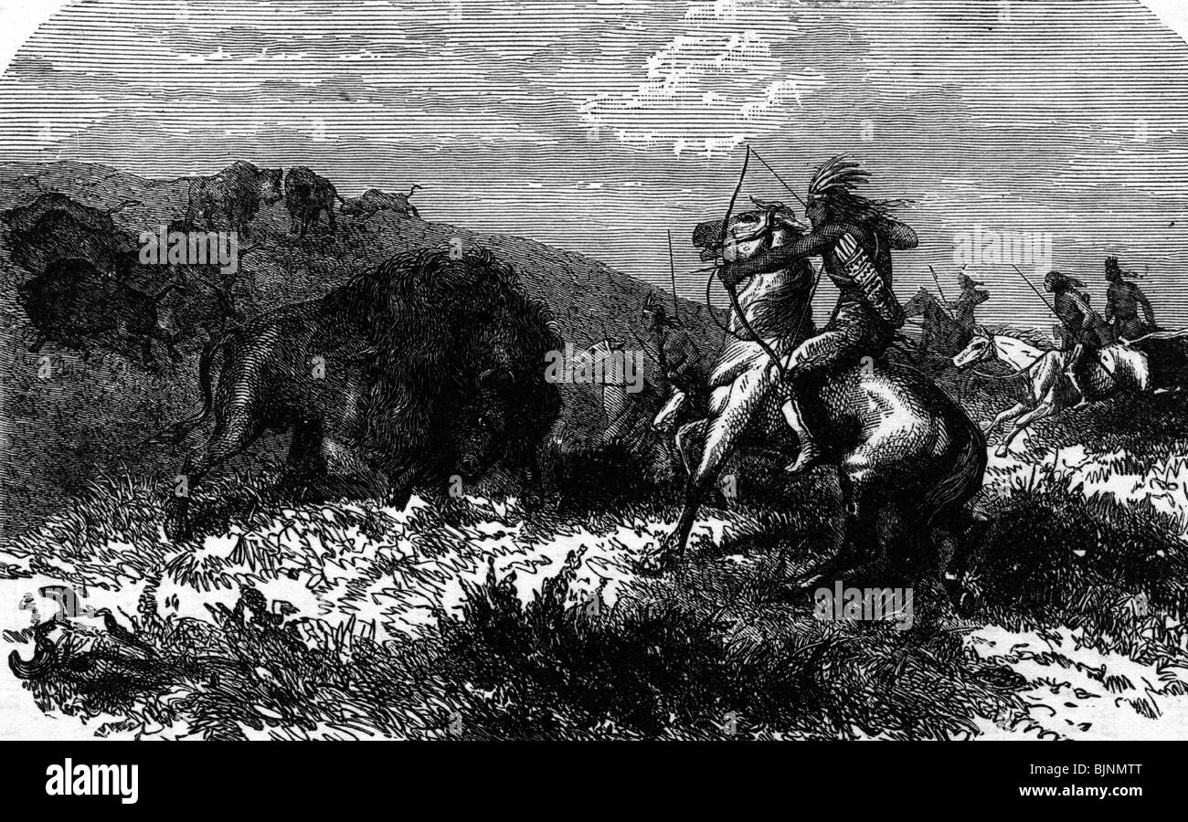 geography / travel, United States of America, American Indians, buffalo hunt, wood engraving, 19th century, historic, historical, bow and arrow, hunting, bison, American bison, American buffalo, North America, male, man, men, people, Stock Photo