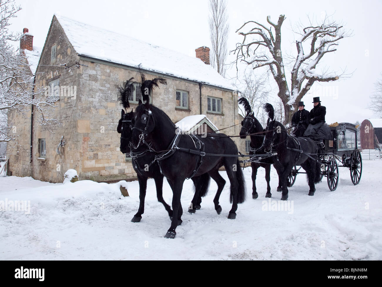 Traditional old fashioned Horse drawn funeral carriage in snow with four horses ready to leave for church service Stock Photo