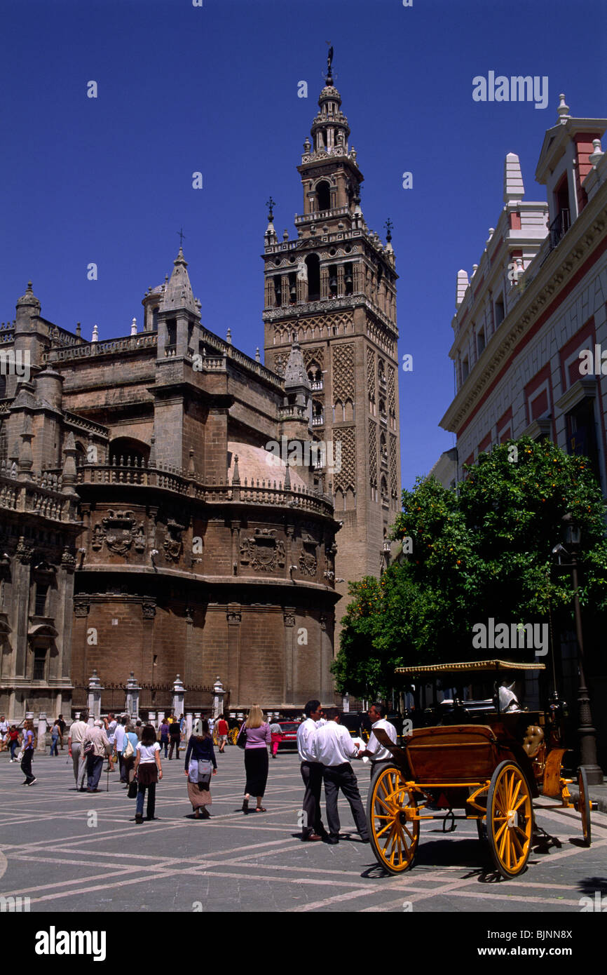 Spain, Seville, Plaza del Triunfo, Giralda cathedral Stock Photo