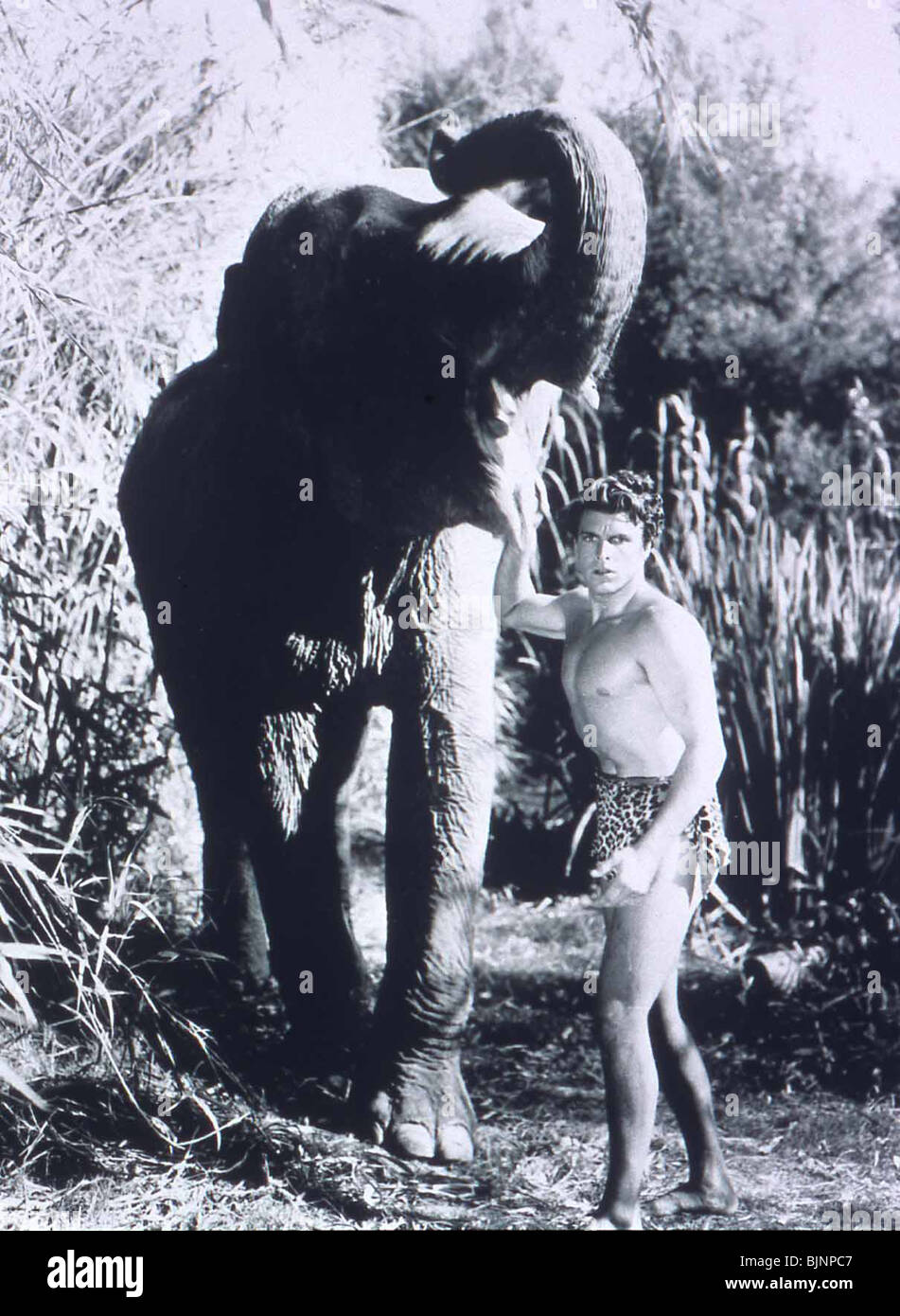 Buster Crabbe Tarzan The Fearless Hairless Chest Flash Gordon Beefcake  Photograph 1933