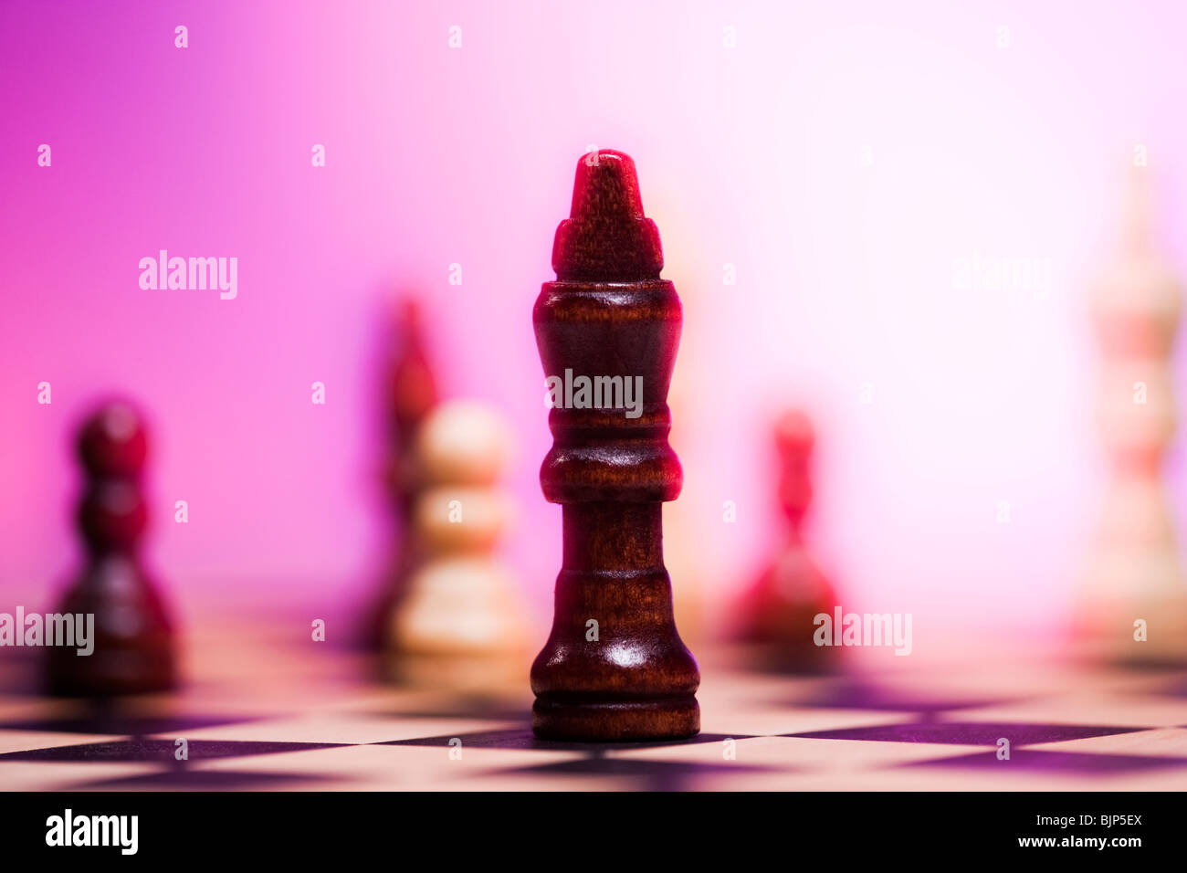 Chess board and chess pieces Stock Photo Alamy