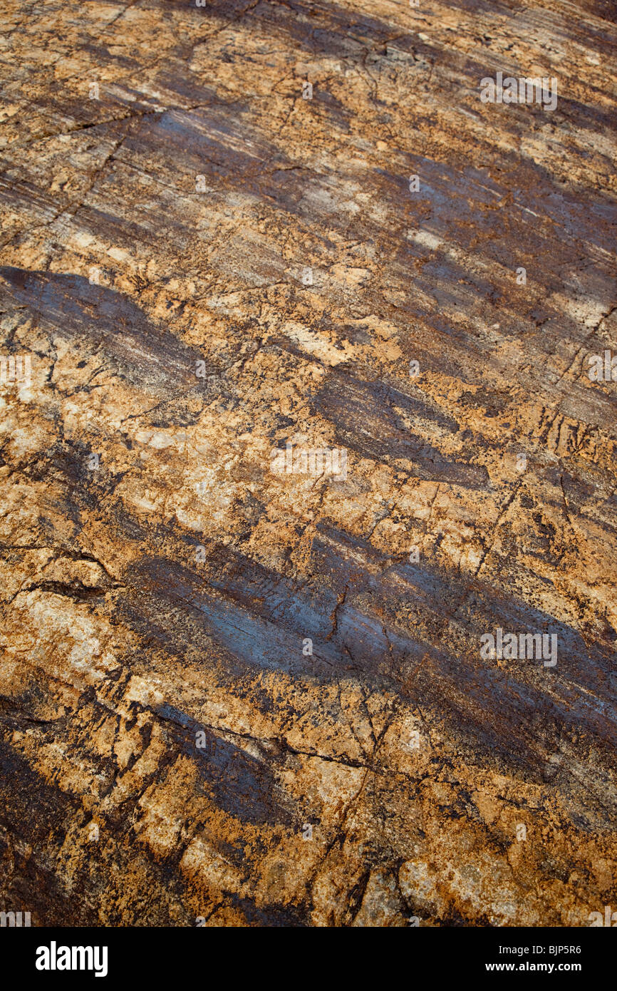 Scratches on glacial rock, striated rocks, Viedma Glacier, Patagonia, Argentina Stock Photo