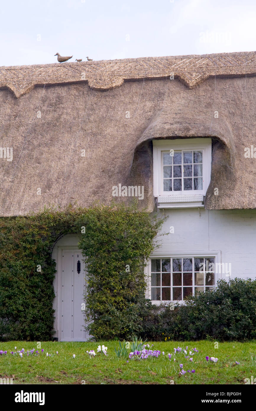 Cottage windows hi-res stock photography and images - Alamy