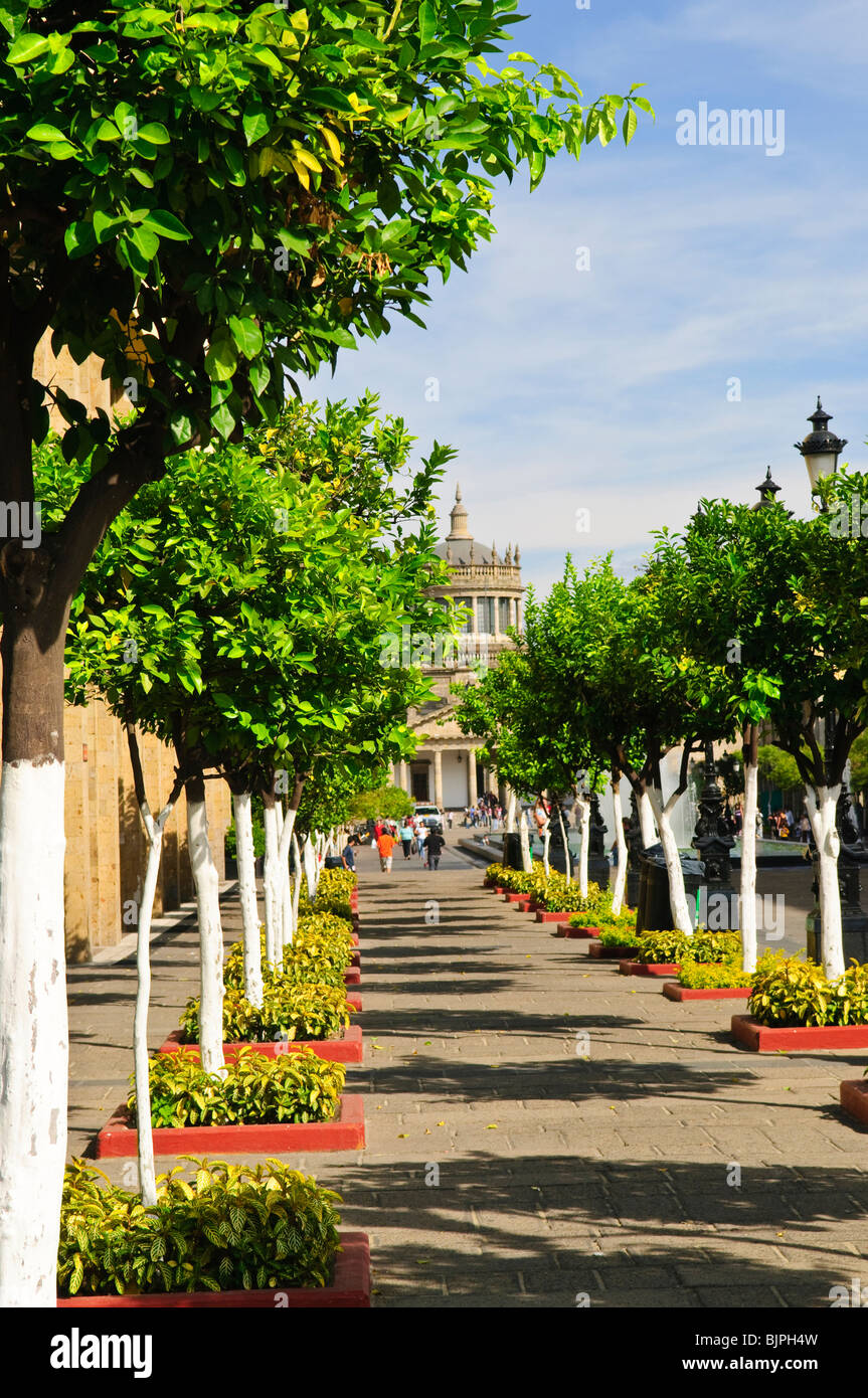 Plaza Tapatia leading to Hospicio Cabanas in historic Guadalajara center, Jalisco, Mexico Stock Photo