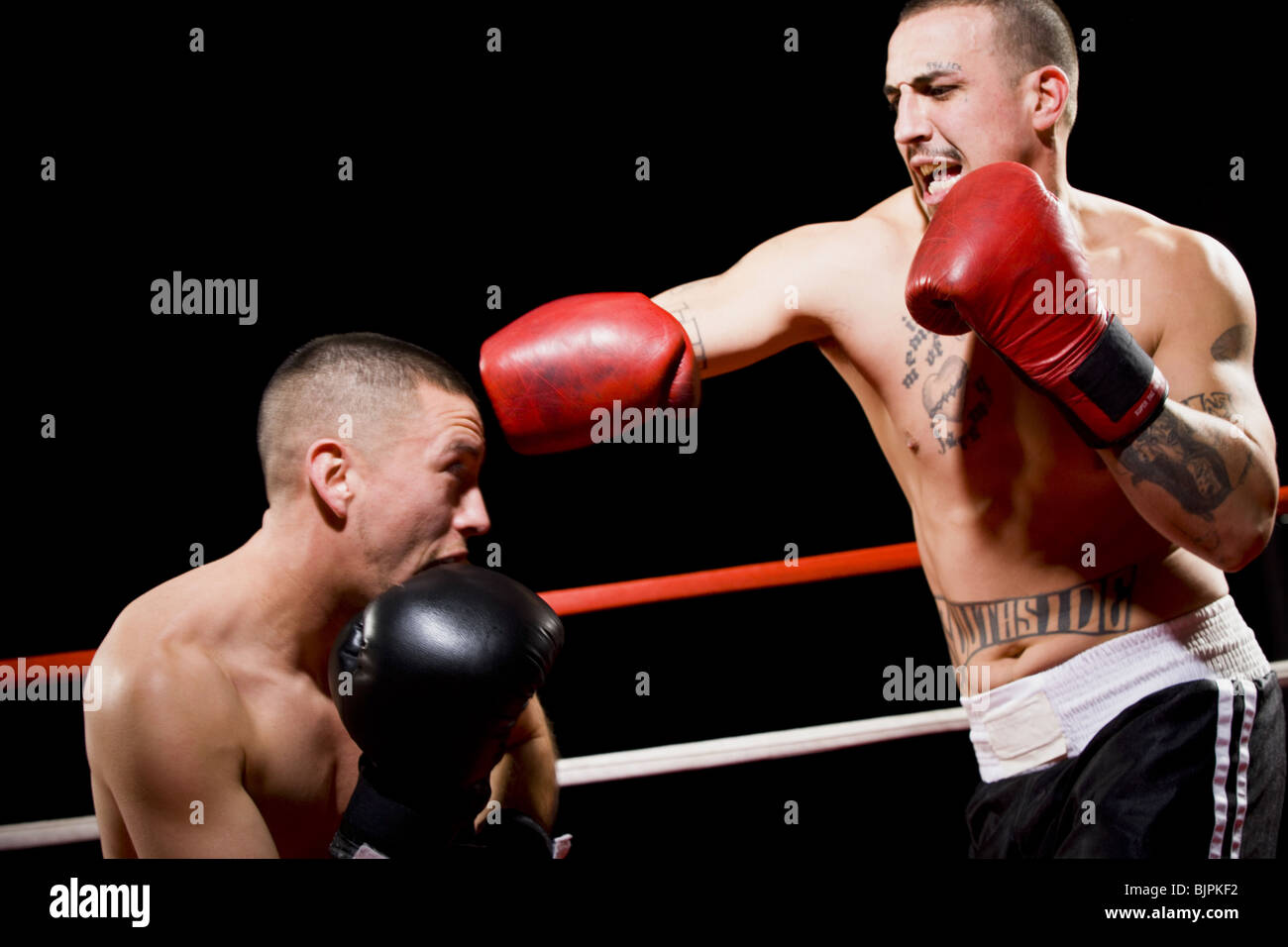 Contestants profile hi res stock photography and images Alamy