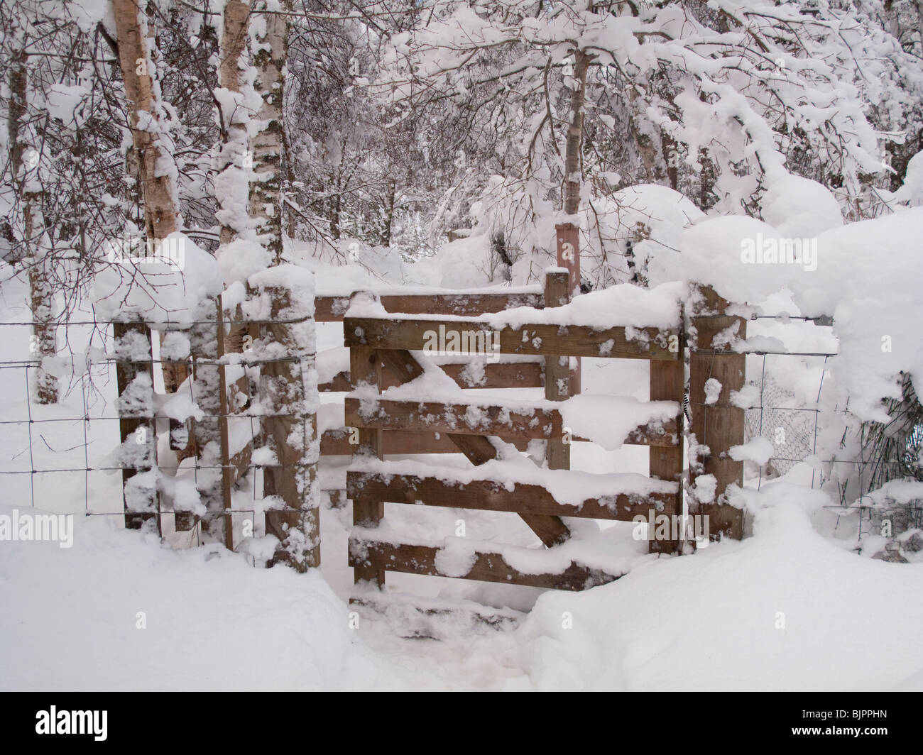 Wooden side pass gate in heavy snow Stock Photo