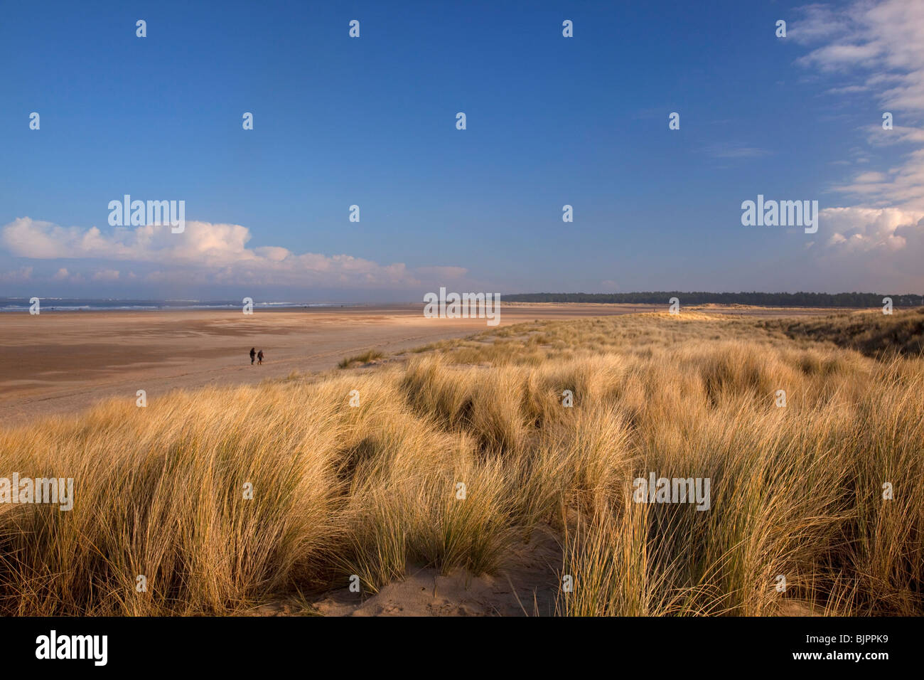 Couple walking along beach, Holkham Beach, Norfolk, England Stock Photo ...