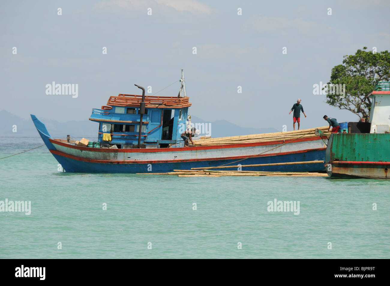Bamboo poles are unloaded straight into the sea and floated ashore from a boat moored at Villa 360 Phi Phi Island Thailand. Stock Photo