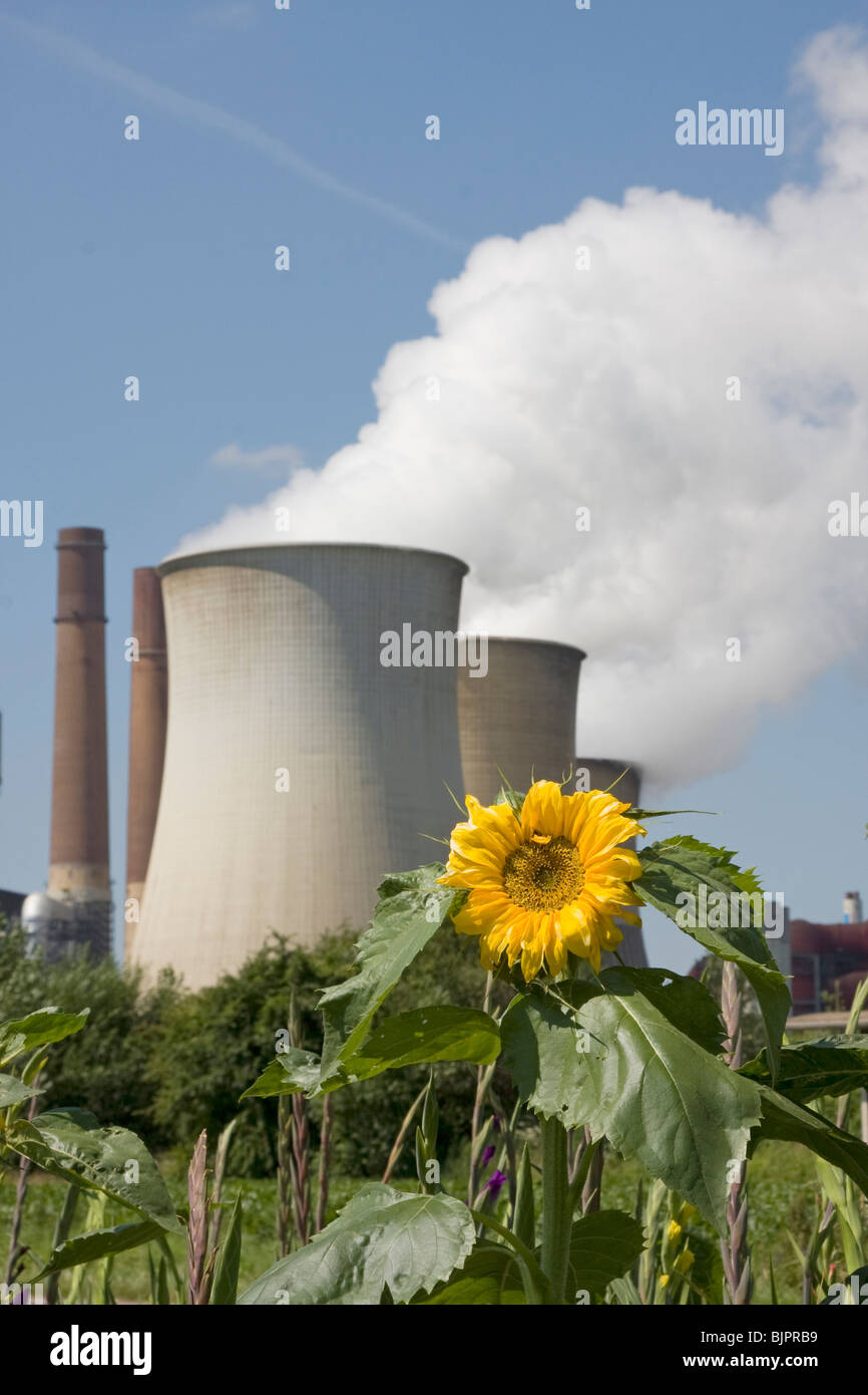 smoky cooling power station with sunflower Stock Photo