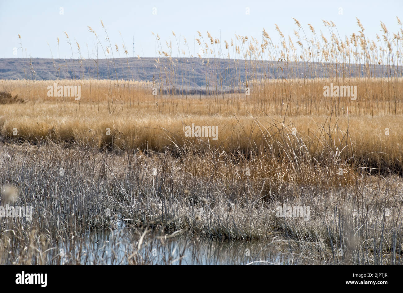 The Pecos River flows through the Bitter Lake National Wildlife Refuge
