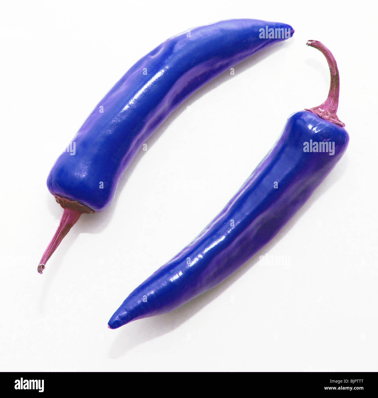 blue chilli pepper Stock Photo - Alamy