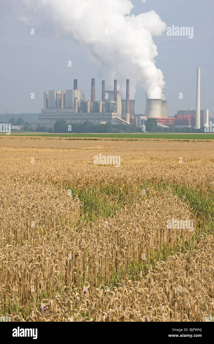 smoky power plant with corn field Stock Photo