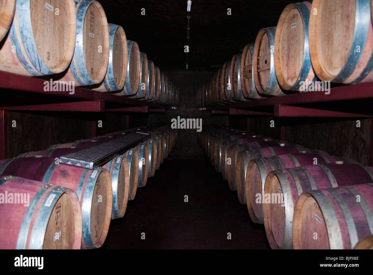 Wine casks in cellar at winery, Hawke's Bay, New Zealand Stock Photo