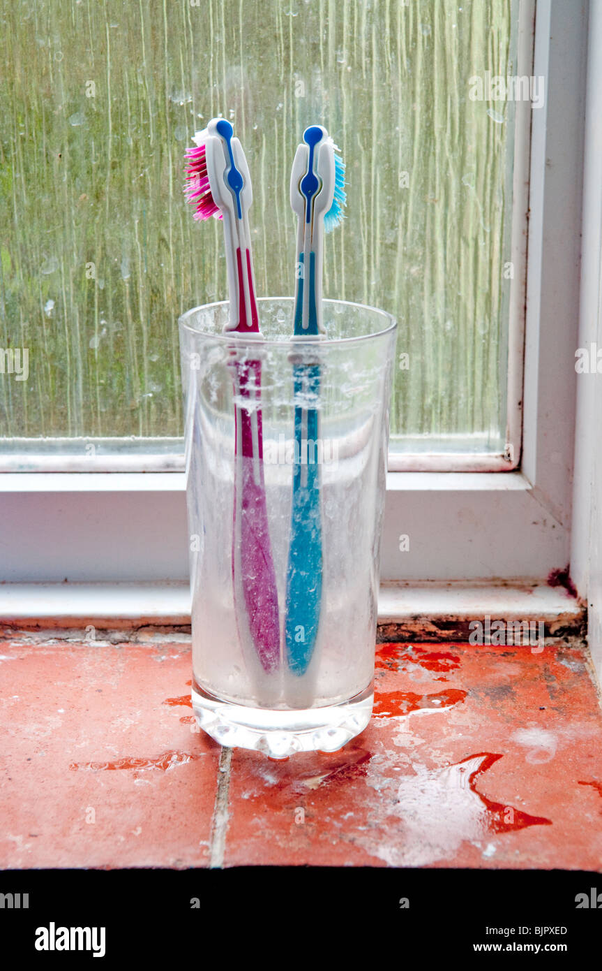 Two toothbrushes in dirty glass in bathroom window Stock Photo Alamy