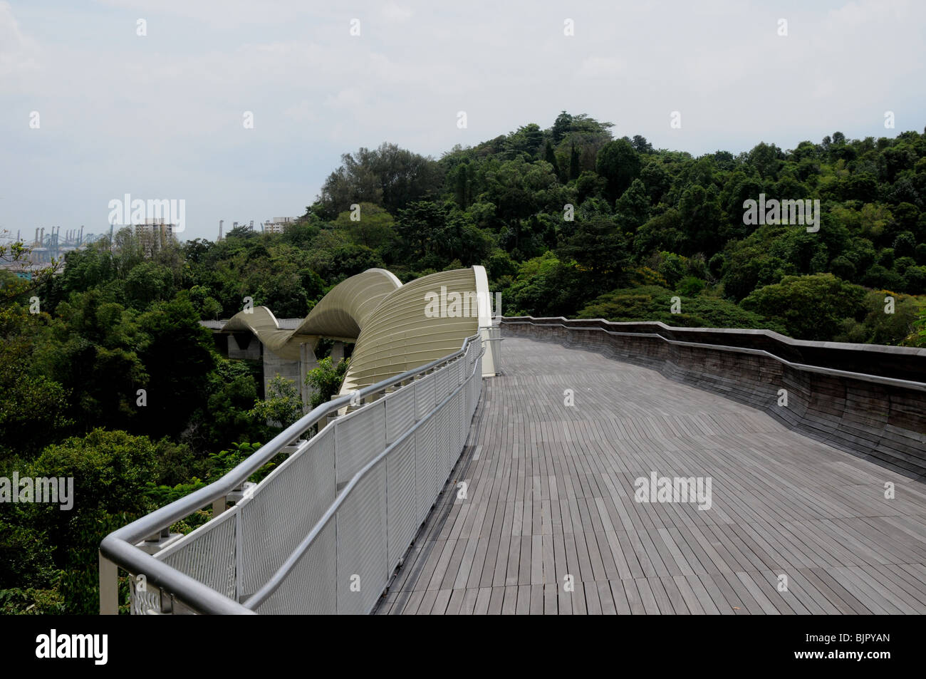 The Henderson Waves pedestrian bridge, one of the lesser known pieces of imaginative design in Singapore. Stock Photo