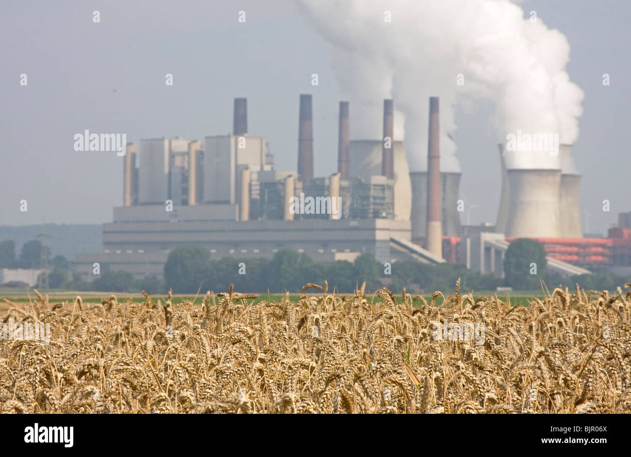 smoky power plant with a corn field Stock Photo