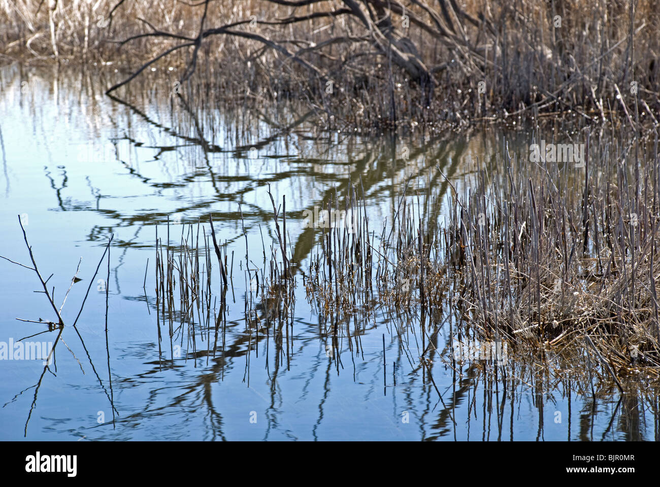 The Pecos River flows through the Bitter Lake National Wildlife Refuge