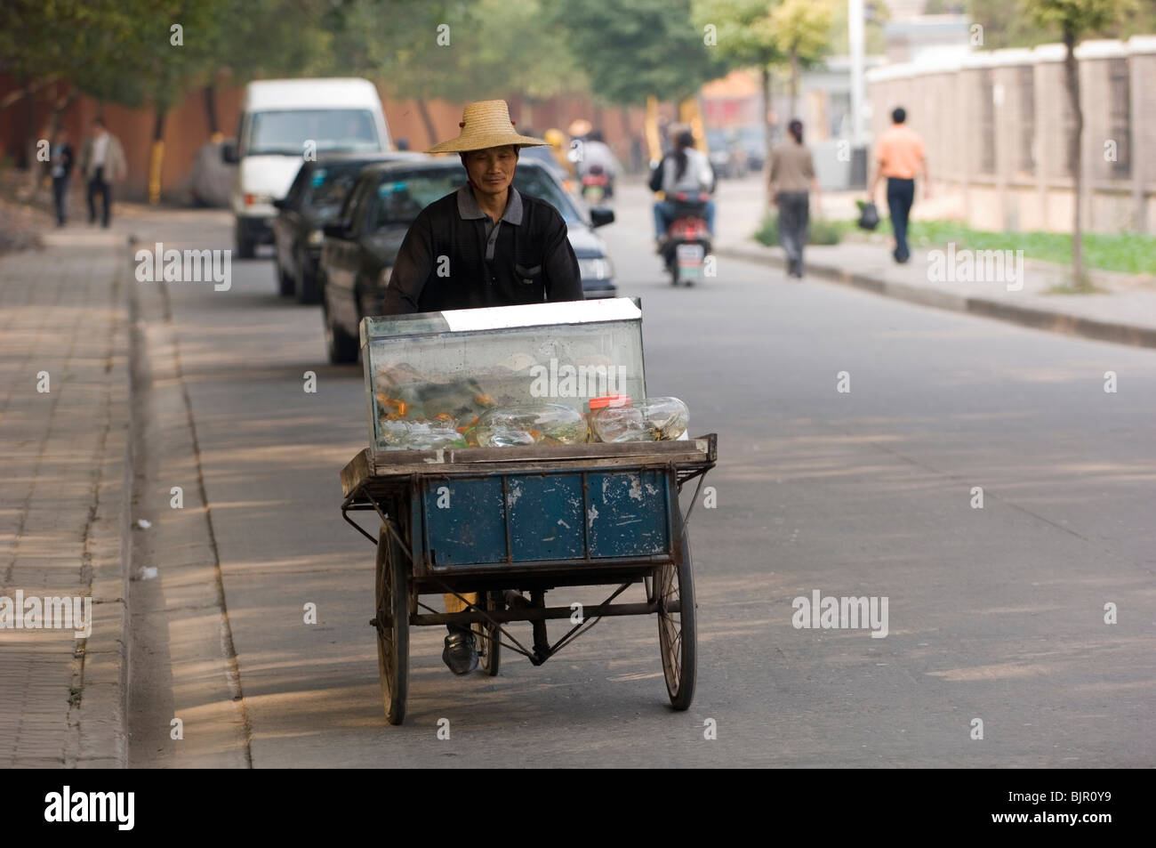 Seller of live aquarium fishes on a  delivery tricycle.  Jingzhou. Hubei province, China. Stock Photo
