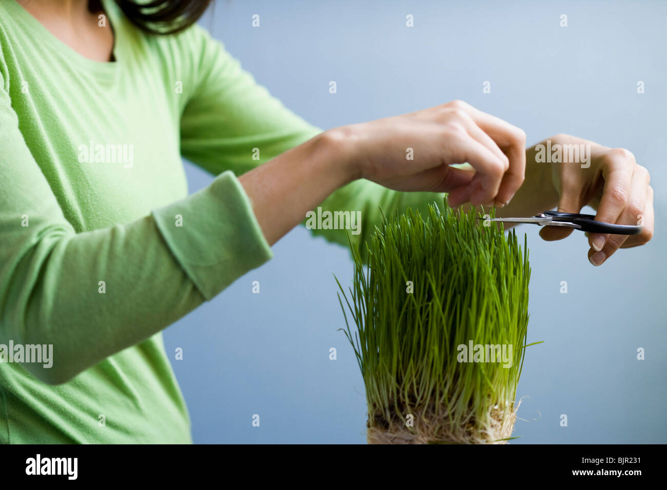 Woman trimming grass with scissors. Stock Photo