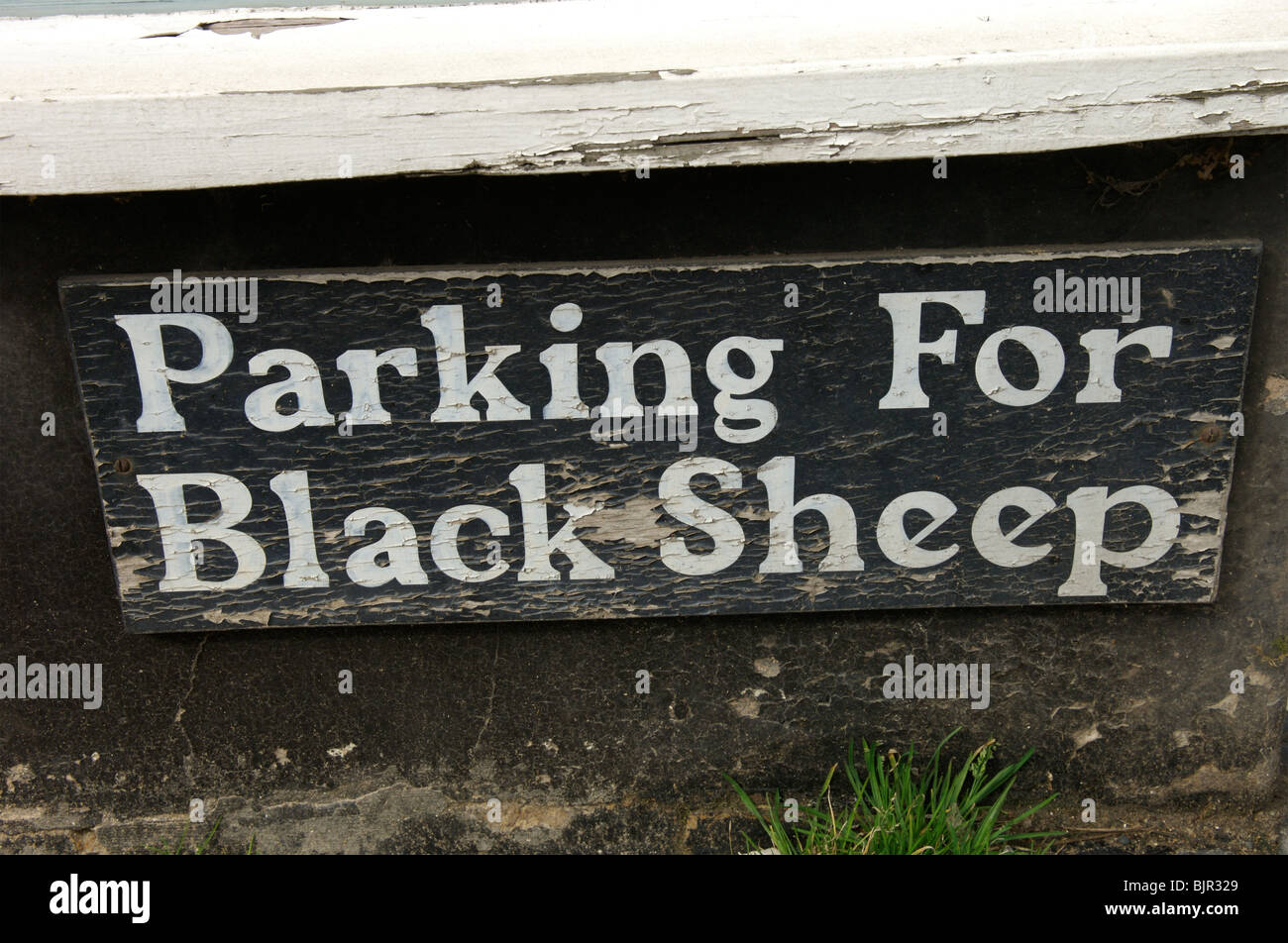 Parking for black sheep sign Stock Photo Alamy