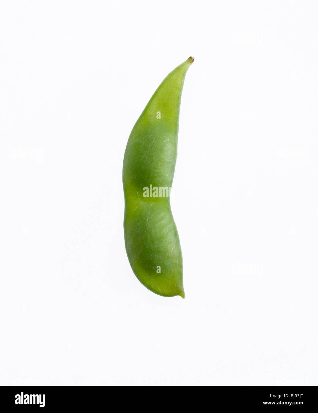 soybean and pod Stock Photo