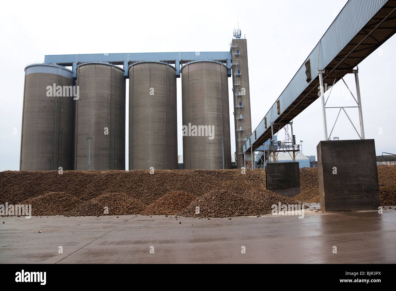 Silos en grain 3kg -Torréfaction moyenne – Alta