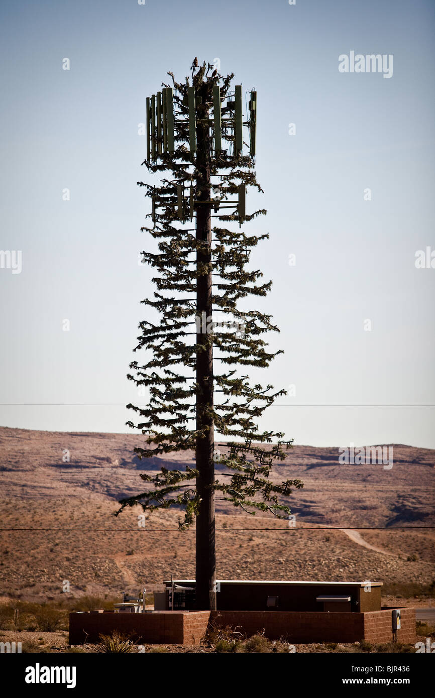 Mobile phone cell tower disguised as a pine tree in the high desert of Nevada. Stock Photo