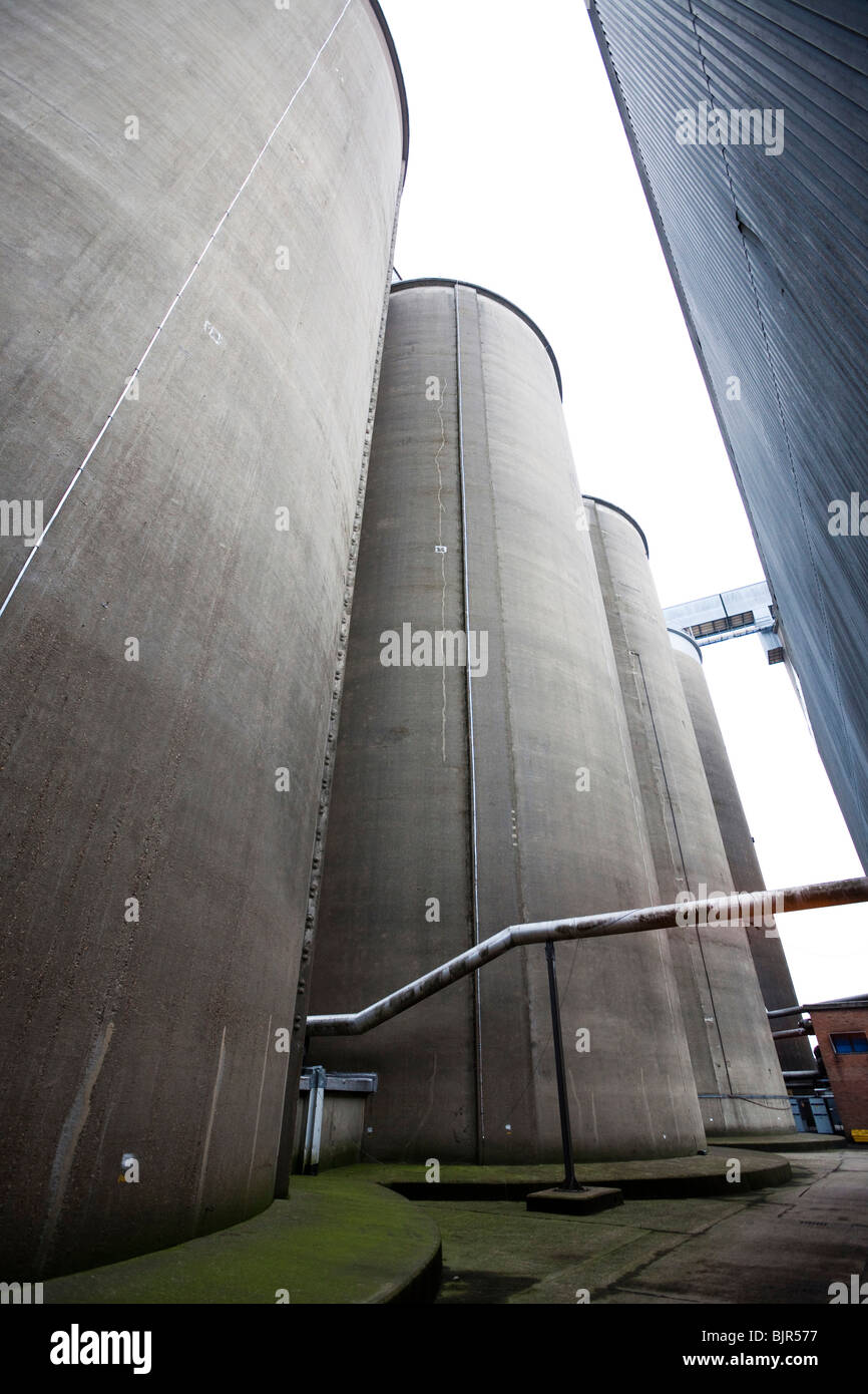 sugar storage silos at British Sugar factory Stock Photo