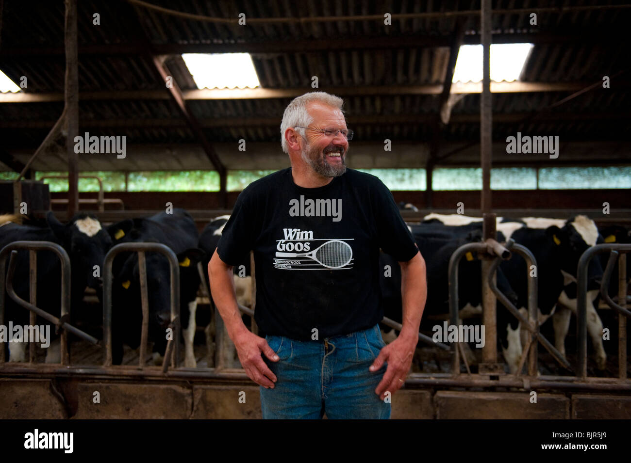 This is an image of a dairy farmer and his cows Stock Photo - Alamy