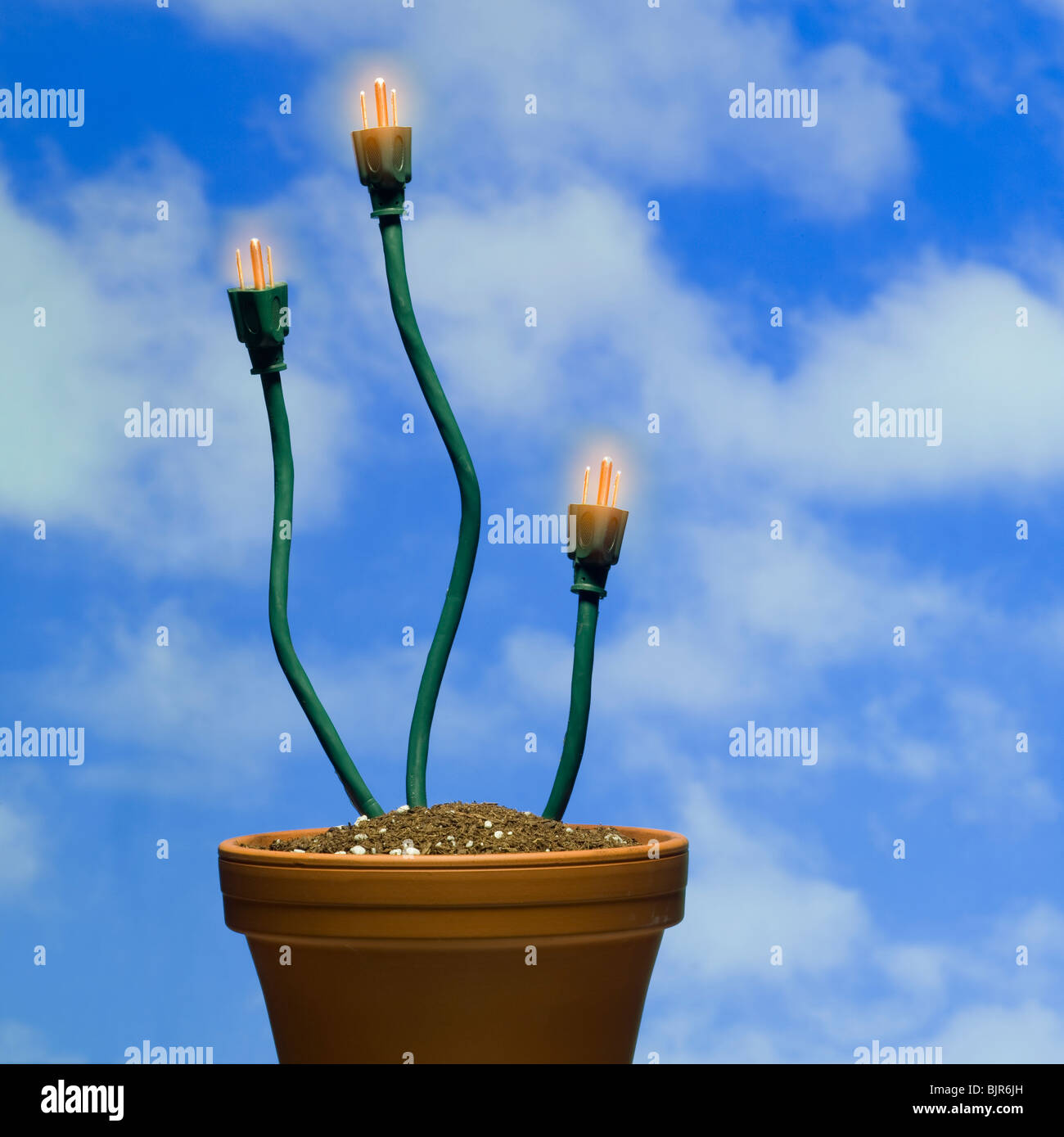 electric plugs coming out of a flower pot Stock Photo