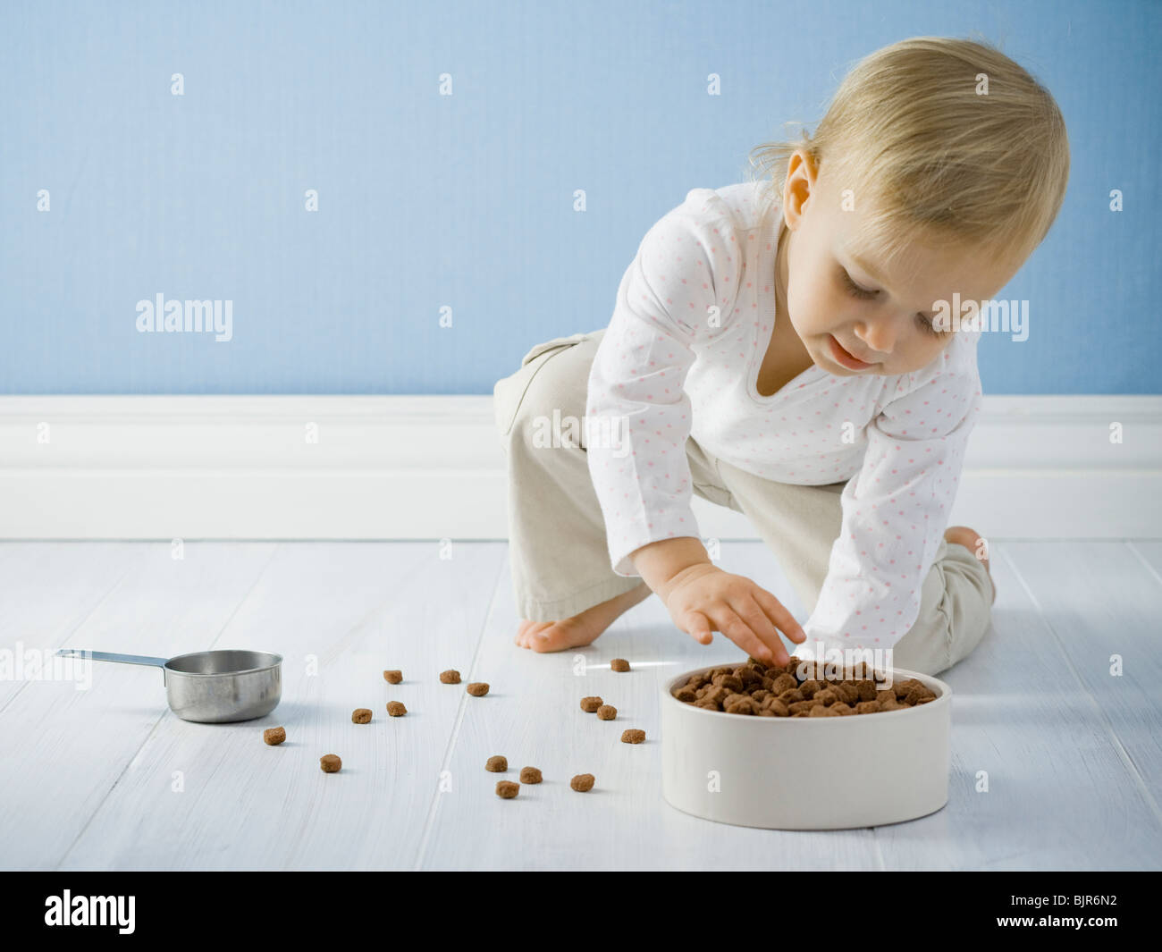 little girl with a bowl of dog food Stock Photo Alamy