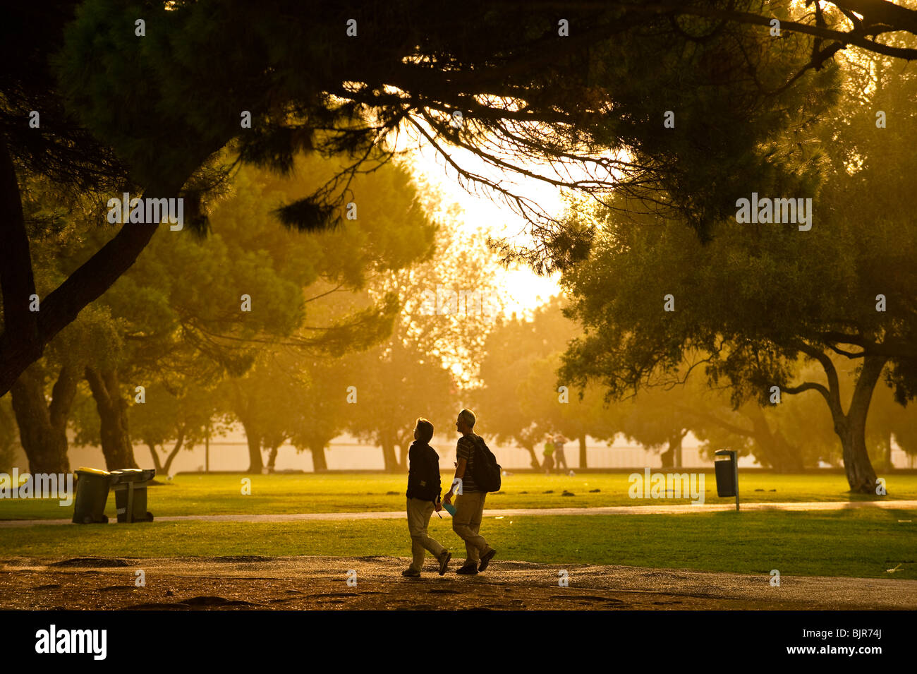 This is an image of a couple walking through a beautiful park Stock ...