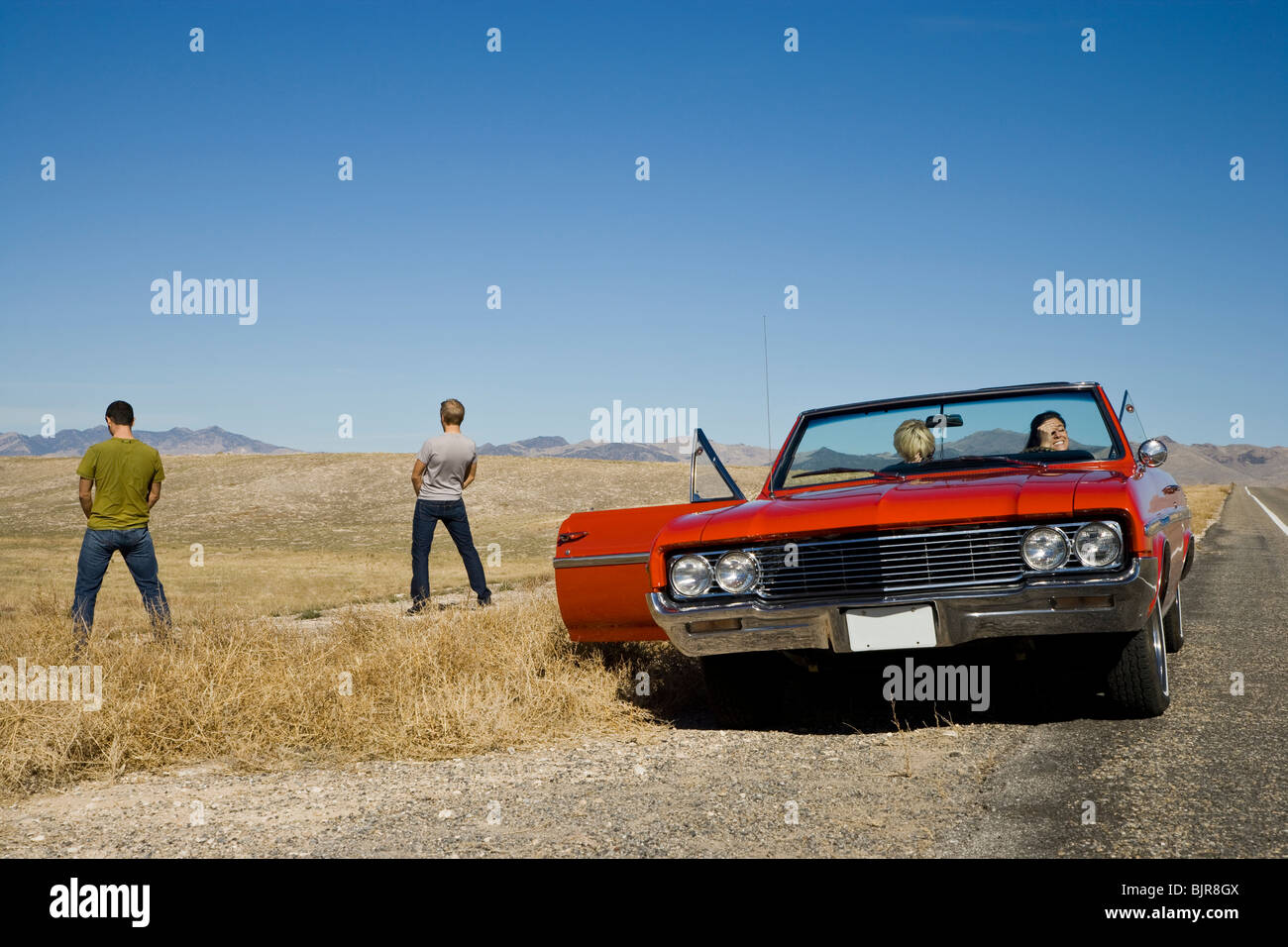 pee break on a road trip Stock Photo Alamy