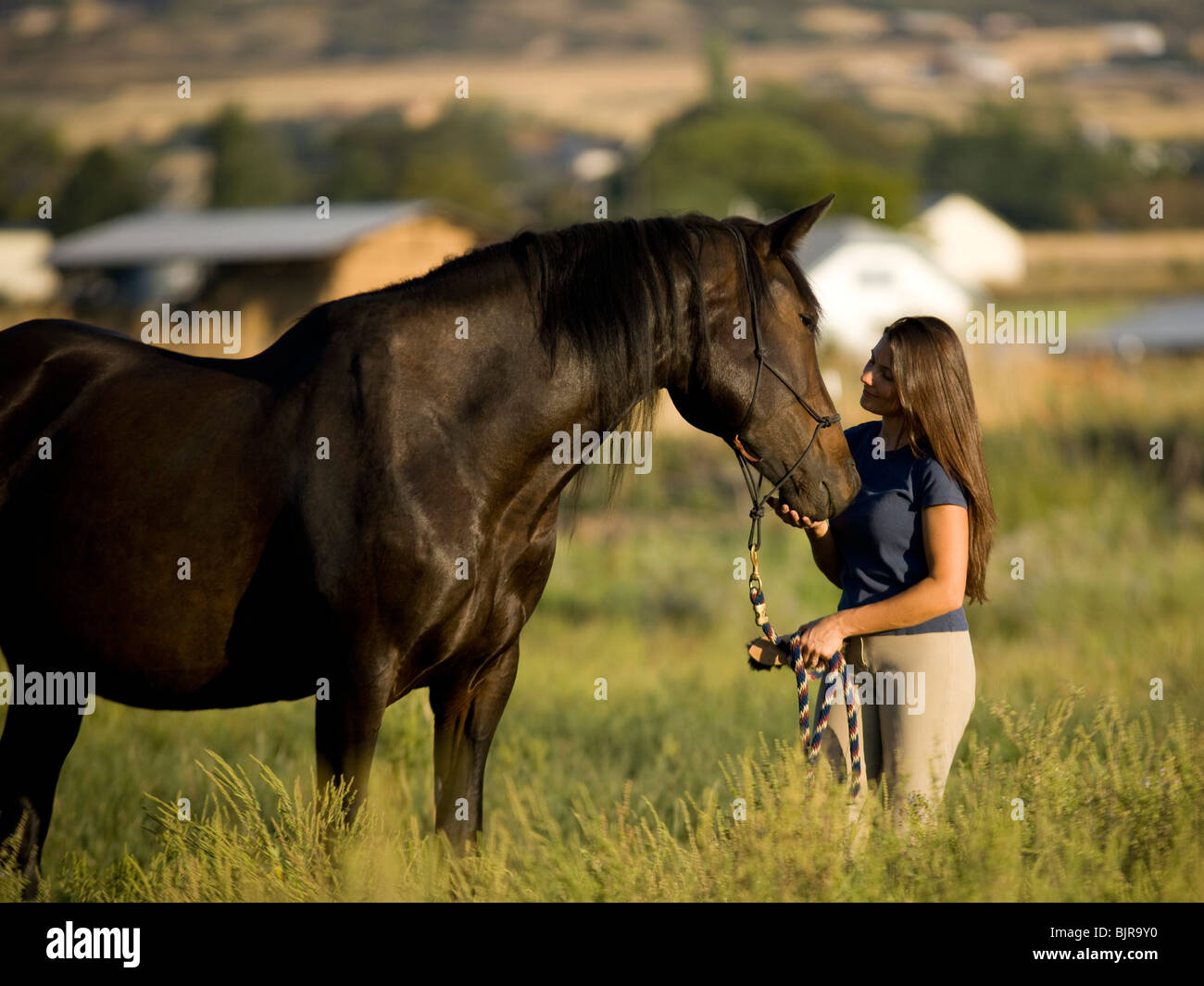 woman and a horse Stock Photo