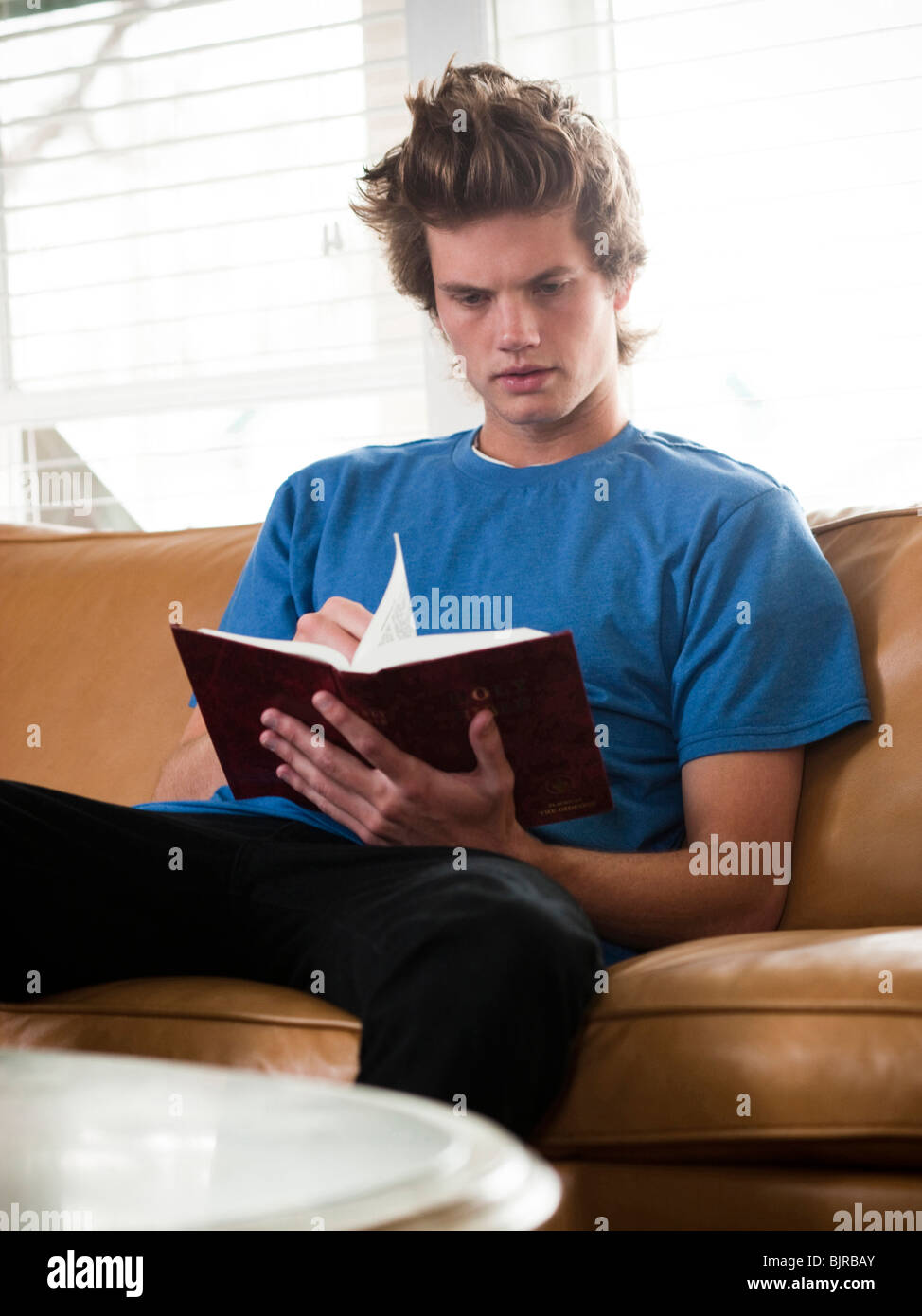 USA, Utah, Provo, young man reading book on sofa Stock Photo