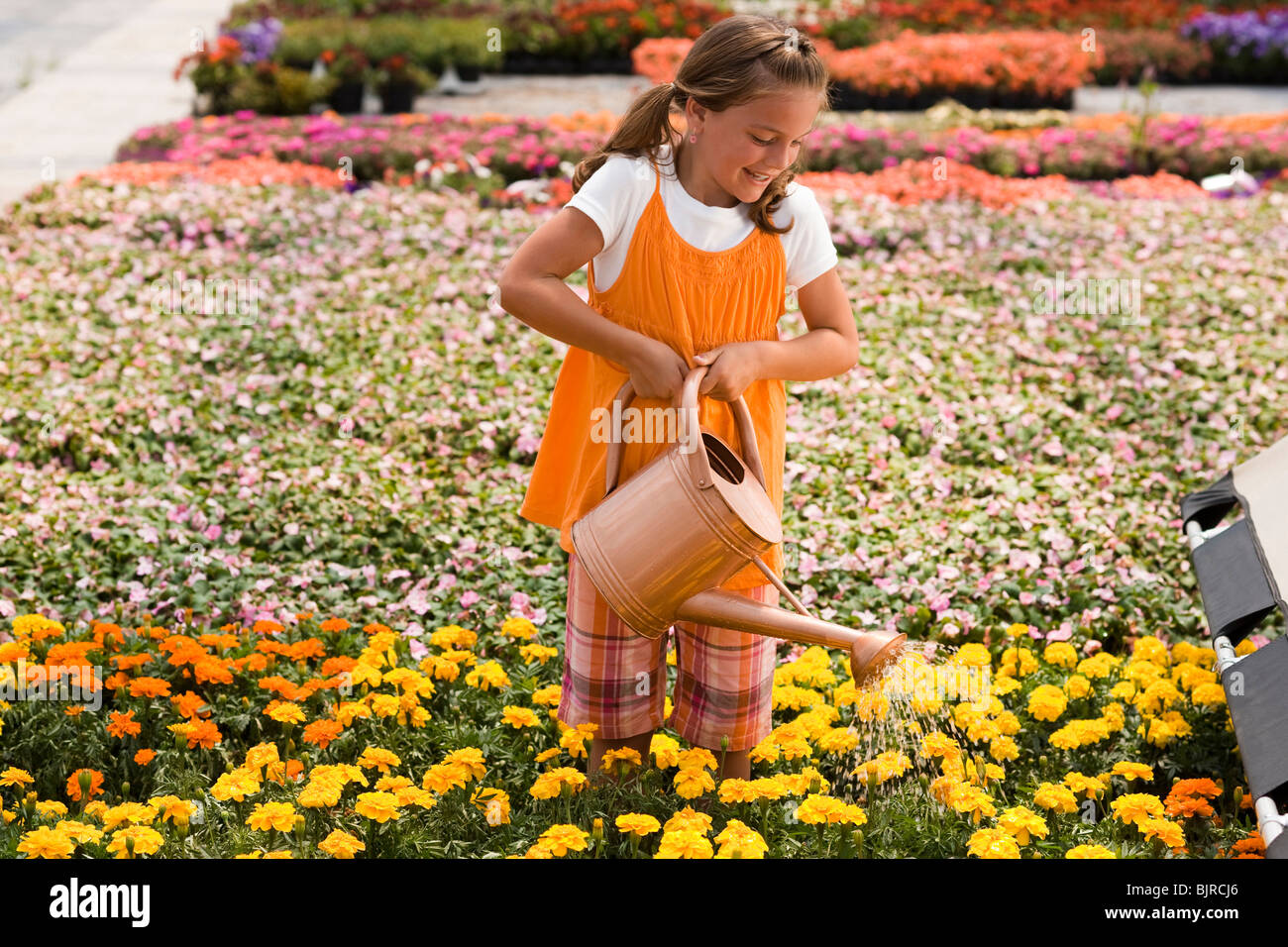 9 girl watering flowers in garden hires stock photography and images