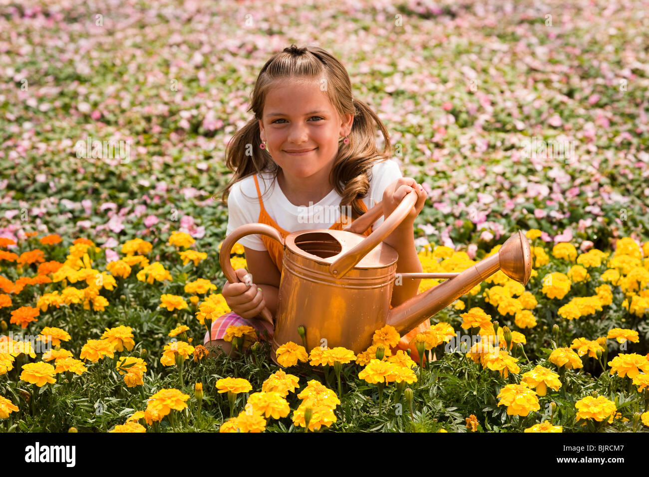 USA, Utah, Salem, portrait of girl (89) in flower field Stock Photo