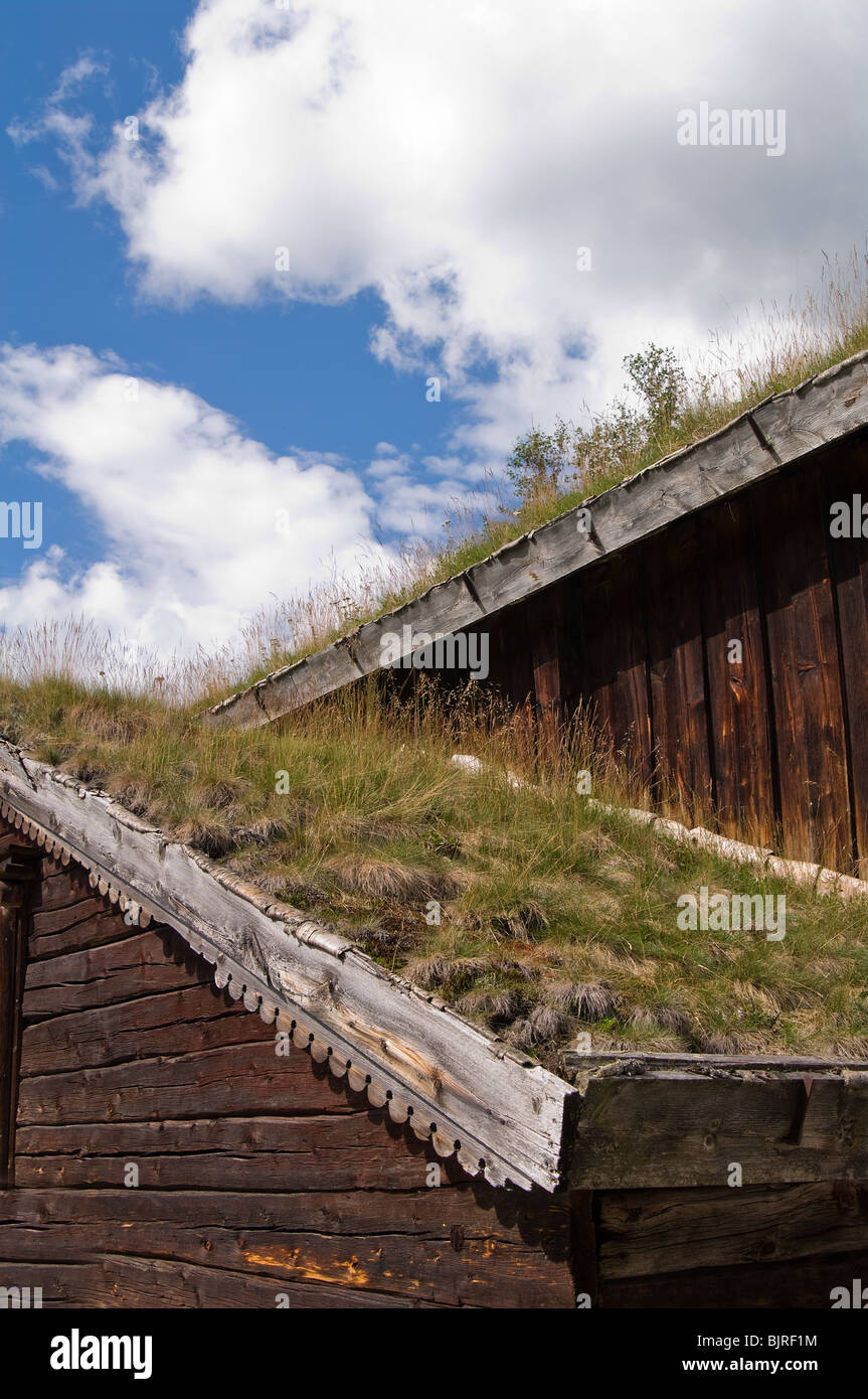 roof of grass on a traditional house Stock Photo