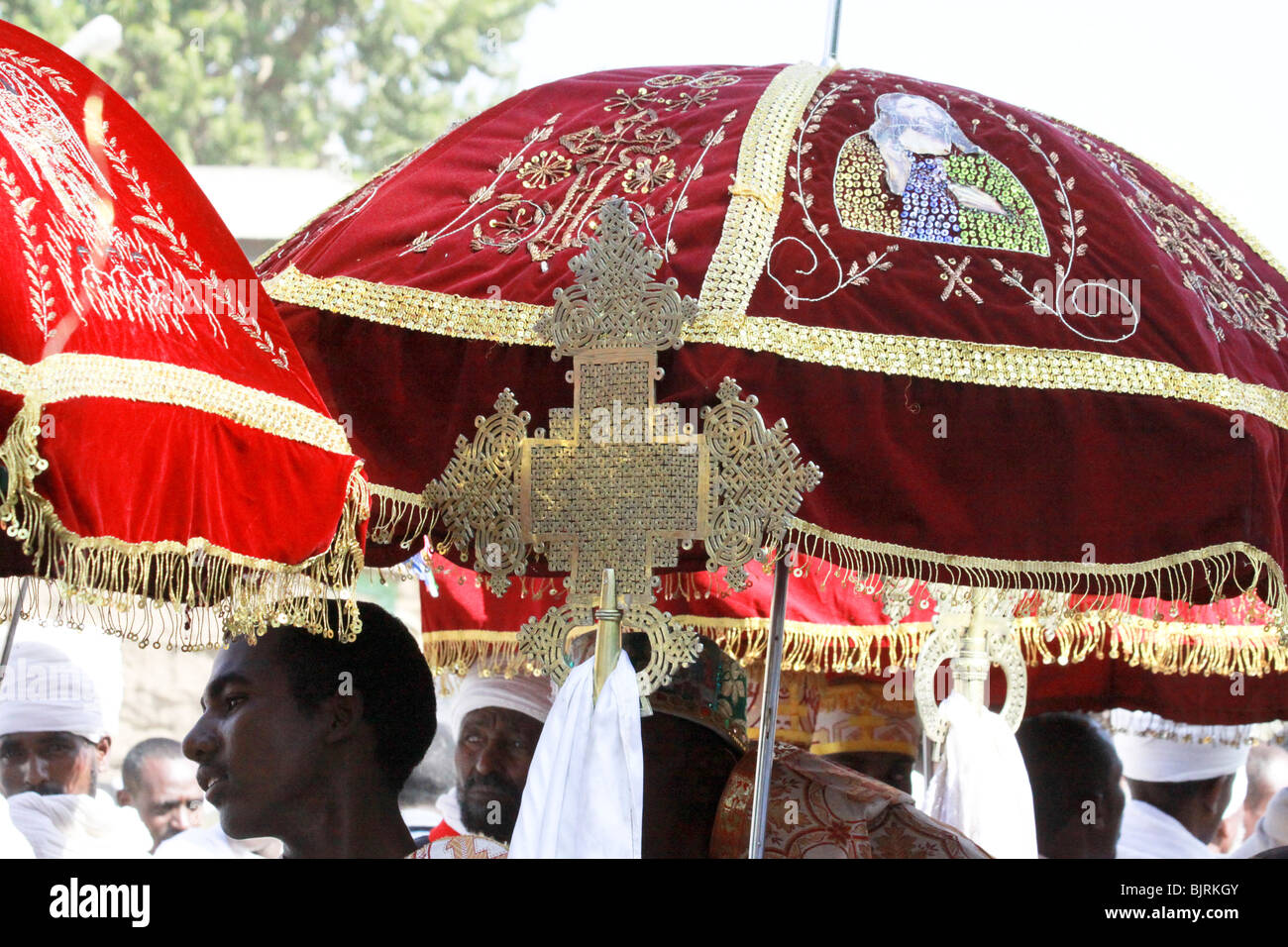 Africa, Ethiopia, Axum, Timket ceremony, Baptizing ceremony at the pool