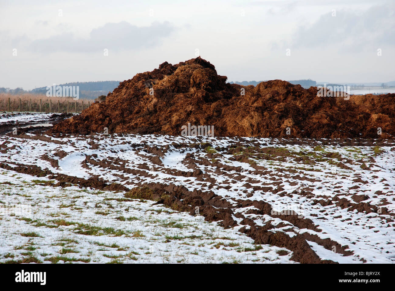 Manure heap on farmland Stock Photo Alamy