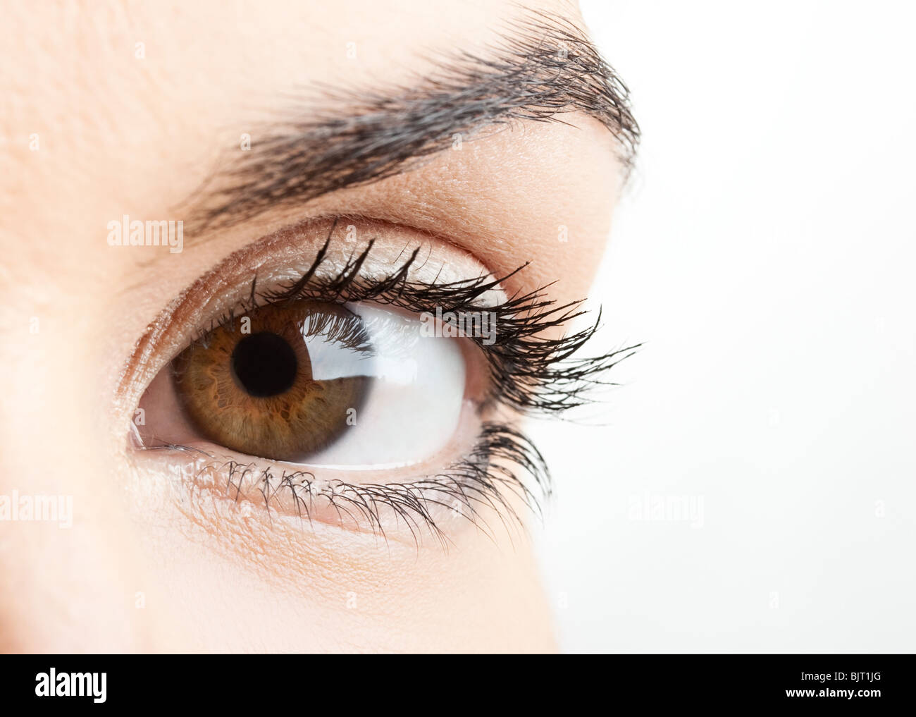 Close-up portrait of a beautiful female eye Stock Photo