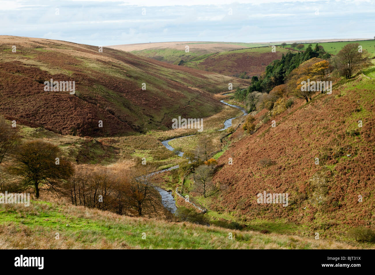 Autumn on Exmoor - the River Barle at Cornham Brake, SW of Simonsbath ...