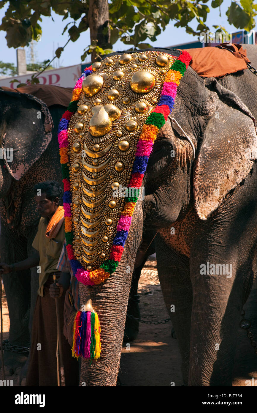 India, Kerala, Adoor, Sree Parthasarathy temple, Gajamela, caparisoned elephant being prepared for procession Stock Photo