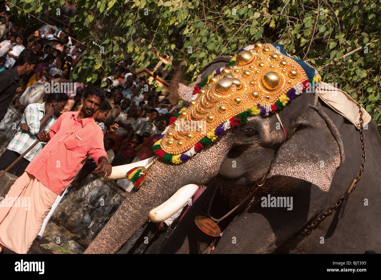 India, Kerala, Adoor, Sree Parthasarathy temple, Gajamela, caparisoned elephant and mahout in ritual procession Stock Photo