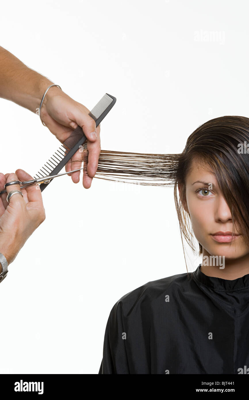 A Woman Having Her Hair Cut Stock Photo Alamy A Woman Having Her Hair Cut Stock Photo Alamy