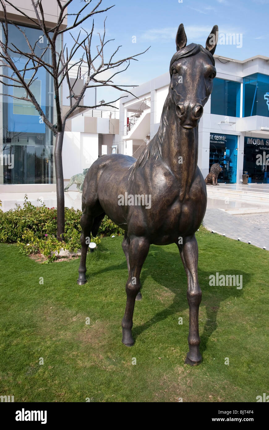 Bronze Sculpture of Arabian Stallion Stock Photo