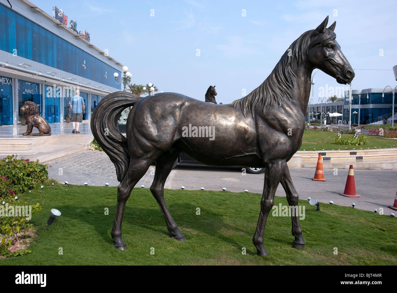 Bronze Sculpture of Arabian Stallion Stock Photo