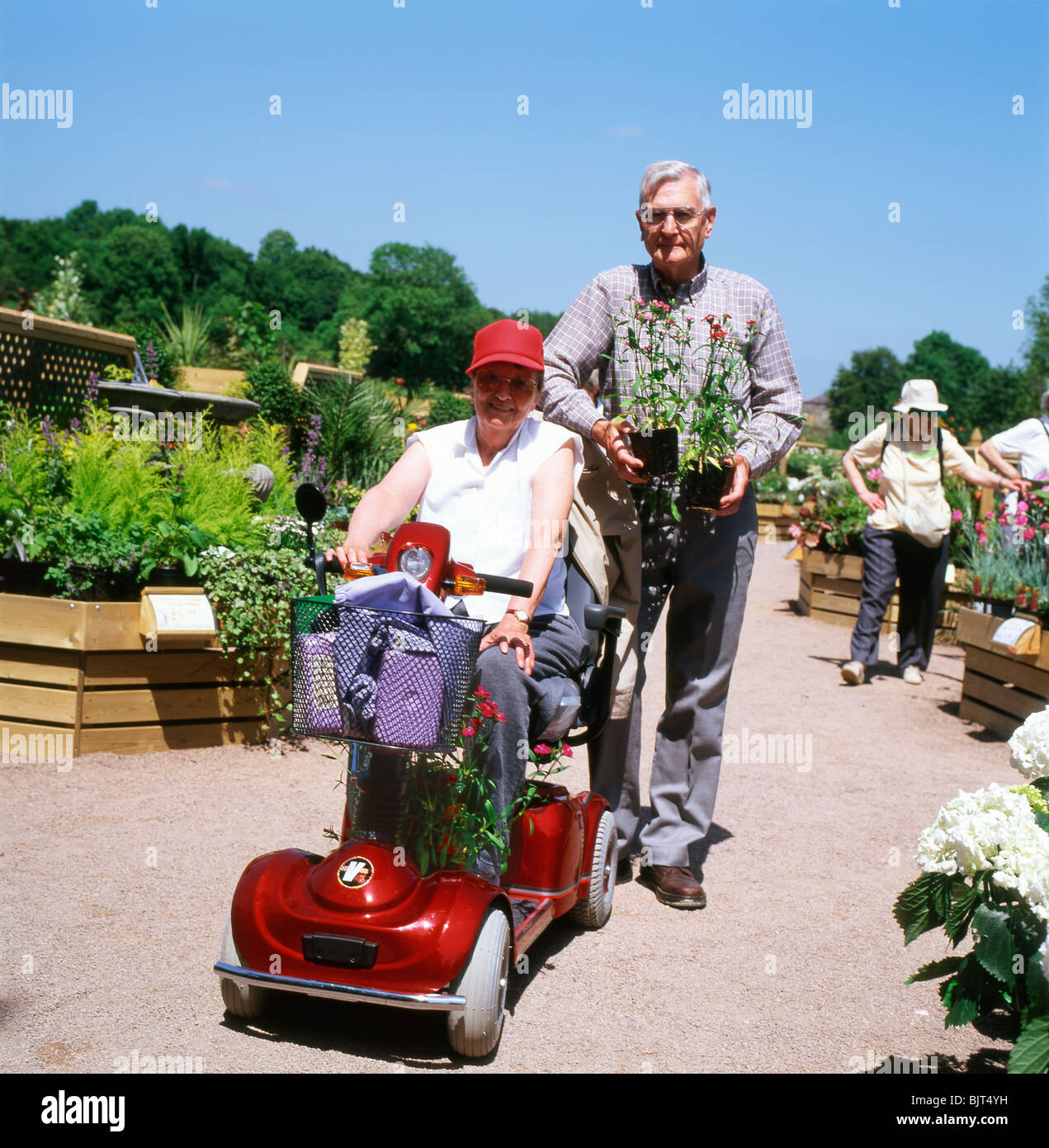 An elderly couple with a disability vehicle visiting a garden centre and buying plants in summer in Wales, UK Stock Photo