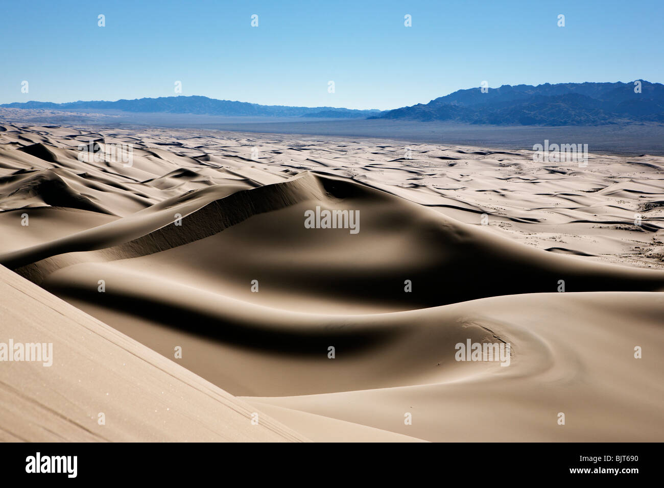Khongoryn Els (Singing Sands) are the highest sand dunes in Gobi Desert ...